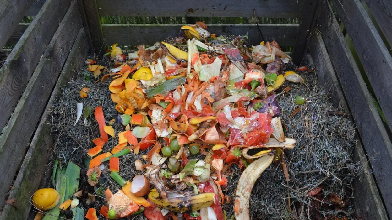 A beginner's guide to home composting showing what kitchen scraps and yard waste to add to a compost bin.