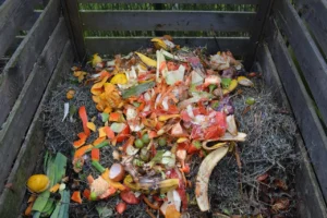 A beginner's guide to home composting showing what kitchen scraps and yard waste to add to a compost bin.
