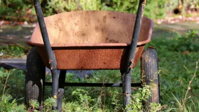 Essential beginner gardening tools including trowel, pruners, gloves, and kneeling pad on soil.