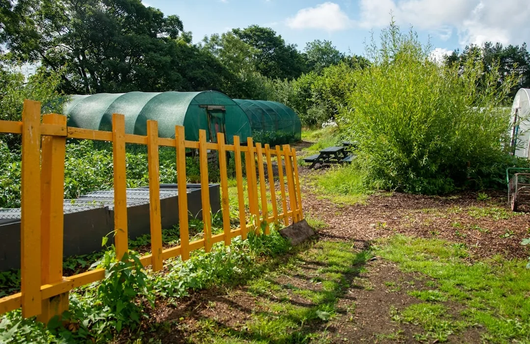 Beginner gardener selecting a sunny, sheltered spot with easy water access for a new vegetable garden.