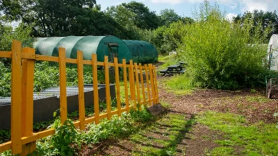 Beginner gardener selecting a sunny, sheltered spot with easy water access for a new vegetable garden.