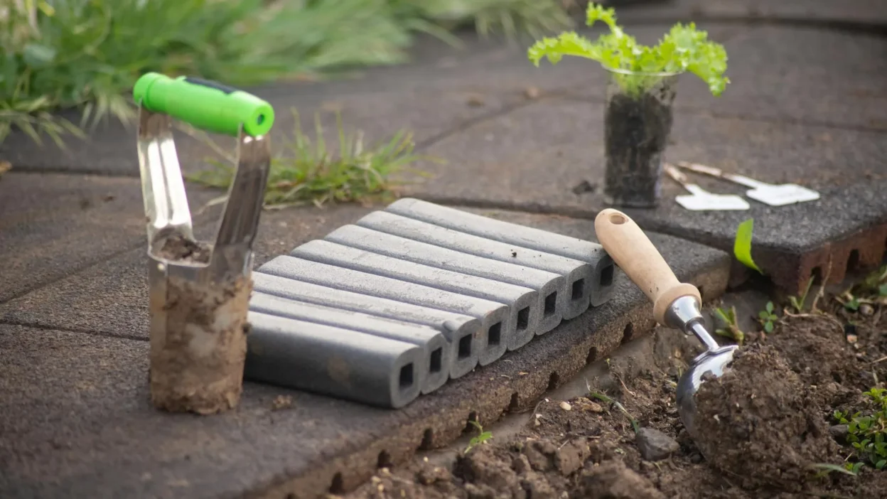 Gardener planting young seedlings in soft soil during the cool, early morning hours.