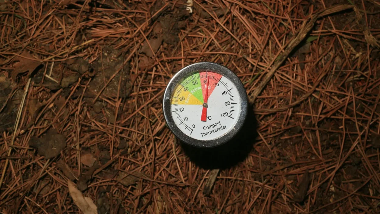 Beginner's guide to compost and fertilizer showing organic soil amendment in a garden bed