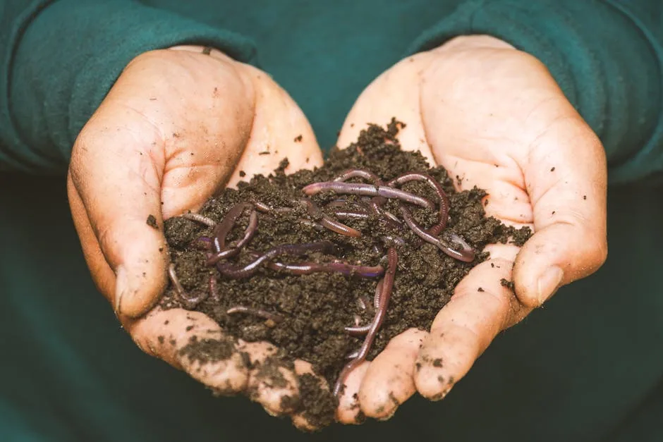 A Trowel Turning Dark Compost For Fertilizer.