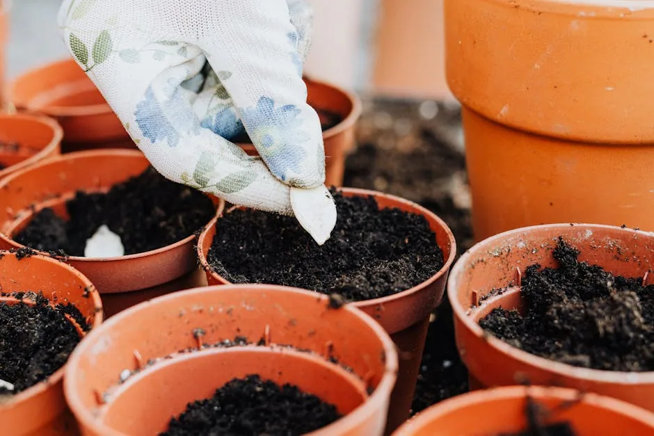 Beginner Gardener Measuring Pots On A Sunny Balcony Corner