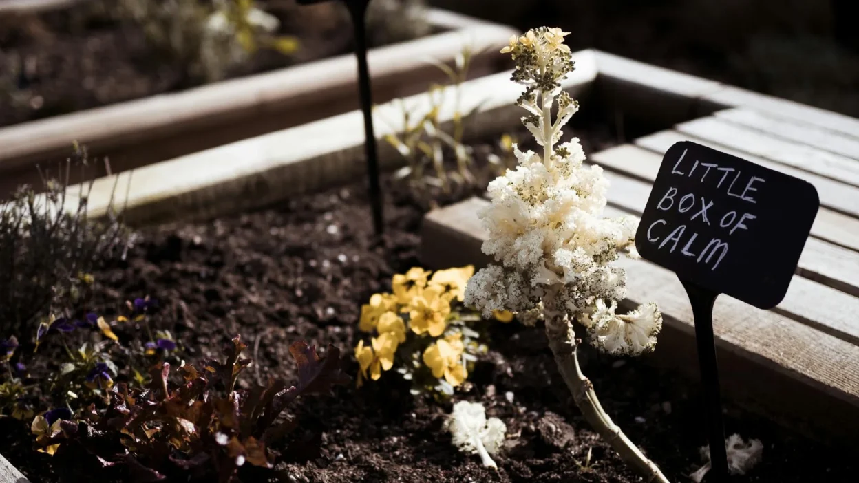 Beginner's raised garden bed layout with pathways and planting zones for efficient vegetable gardening.