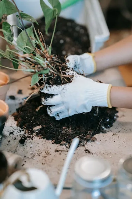 Person's Finger Testing Dry Soil In A Potted Plant.
