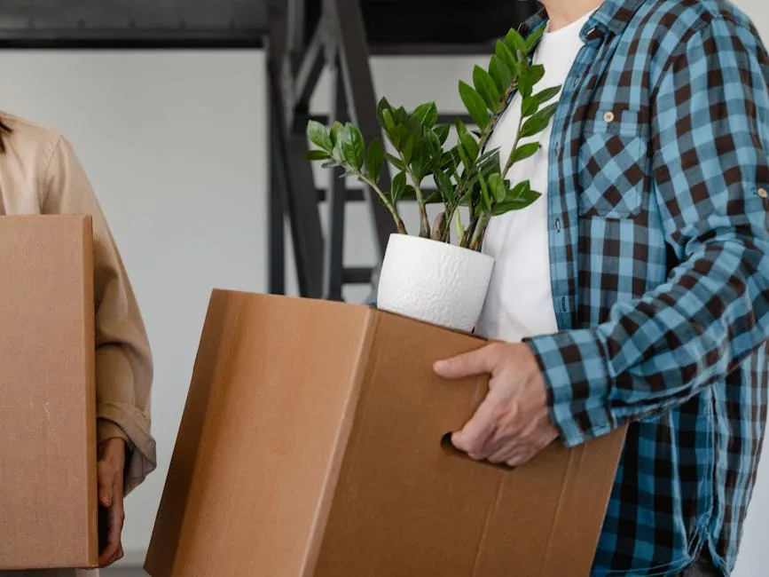 Person Moving Potted Plants In Sunlight