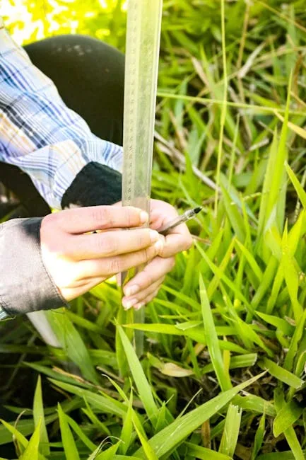 Gardener Measuring Planting Spacing With A Wooden Ruler