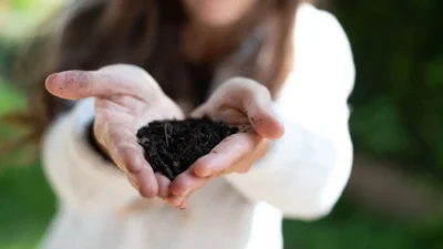 A gardener's hands holding rich, dark compost and healthy soil for planting vegetables.