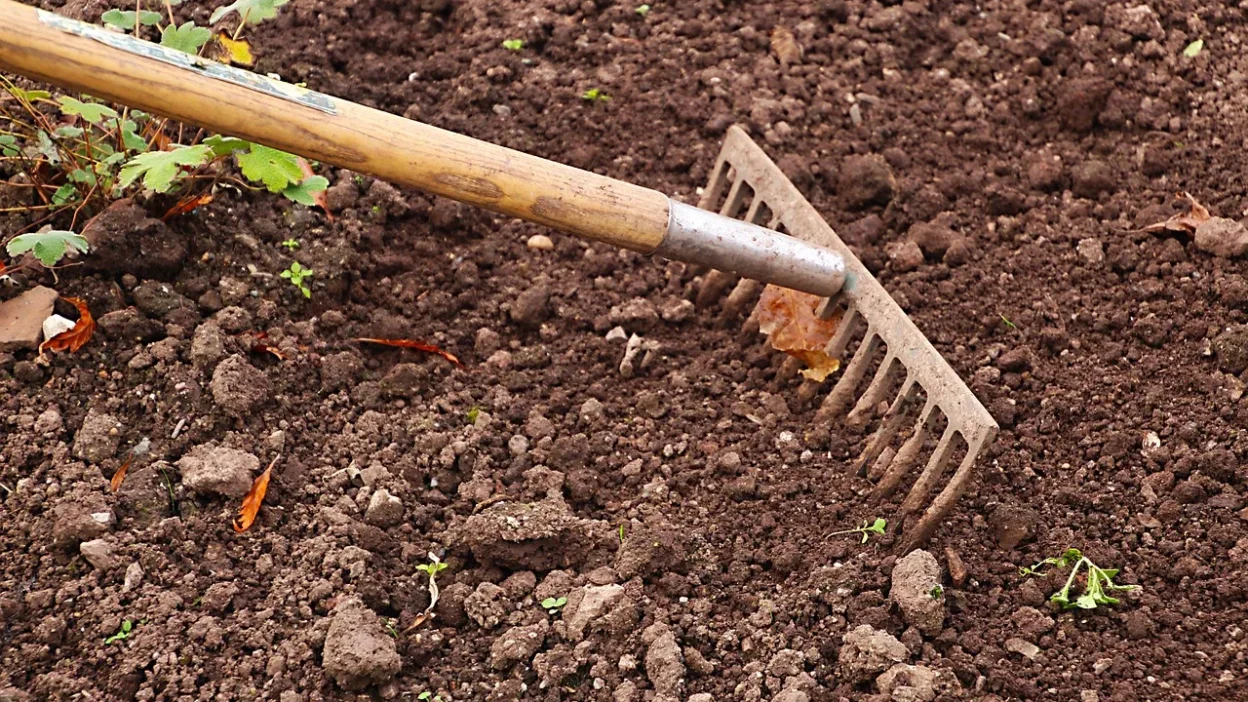A gardener's checklist for preparing soil before planting vegetables, herbs, and flowers in a garden bed.