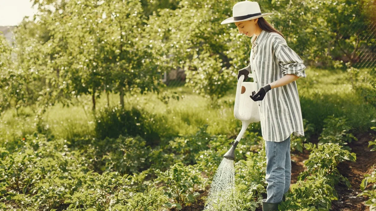A beginner's weekly garden maintenance checklist on a clipboard with gardening gloves and tools.