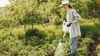 A beginner's weekly garden maintenance checklist on a clipboard with gardening gloves and tools.